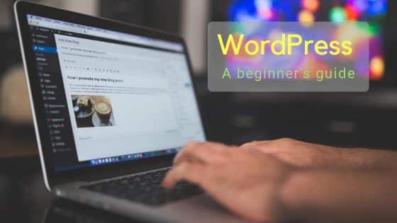 Beginner's Guide To Learn WordPress for Free in 2024